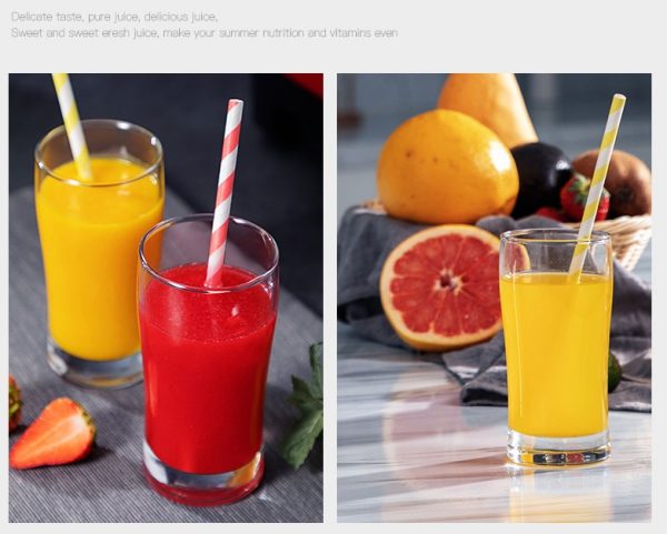 2L Heavy Duty Commercial Blender Professional Power Blender - Image 5