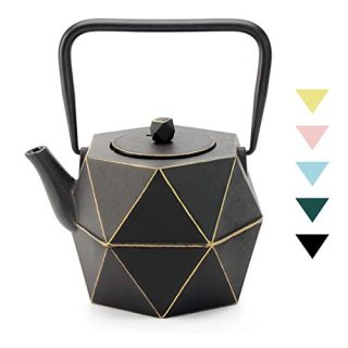 Tea Kettle, TOPTIER Japanese Cast Iron Teapot with Stainless Steel Infuser
