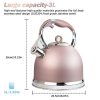 Tea Kettle Best 3 Quart induction Modern Stainless Steel Surgical - Image 3