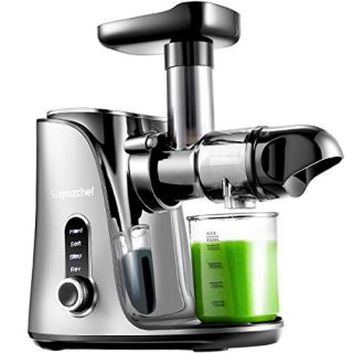 Juicer Machines,AMZCHEF Slow Masticating Juicer Extractor, Cold Press Juicer with Two Speed Modes, 2 Travel bottles(500ML),LED display, Easy to Clean Brush & Quiet Motor for Vegetables&Fruits,Gray