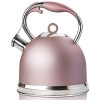 Tea Kettle Best 3 Quart induction Modern Stainless Steel Surgical
