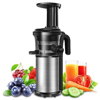 Juicer Slow Juicers Machine Portable Vertical Cold Press Juicer with Reversal Function, BPA-free Masticating Juicer with Juice Jug and Clean Brush for Vegetables and Fruits