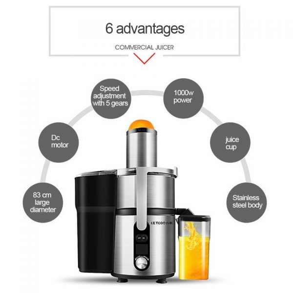 5 Speed commercial Stainless steel Juicer large - Image 2