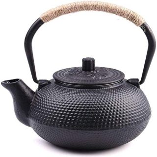 Japanese Tetsubin Cast Iron Teapot Tea Kettle