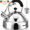 Teapot with Cool Touch Ergonomic Handle and Straight Pour Spout