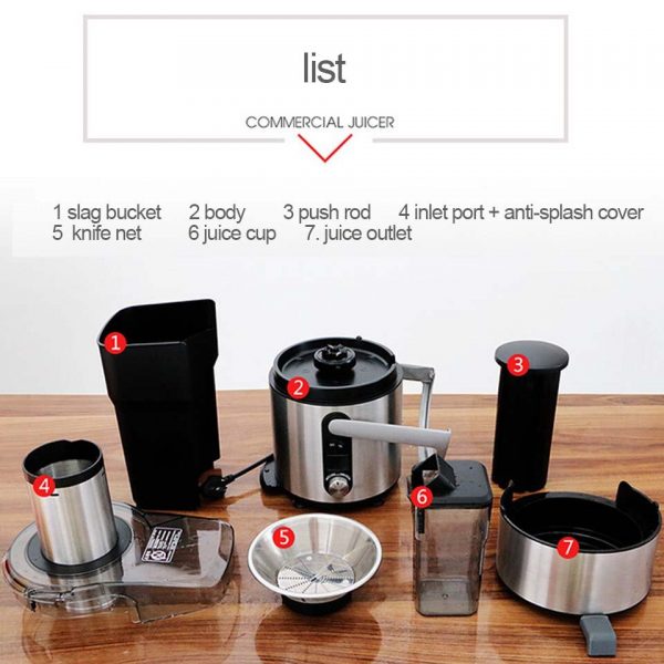 5 Speed commercial Stainless steel Juicer large - Image 4