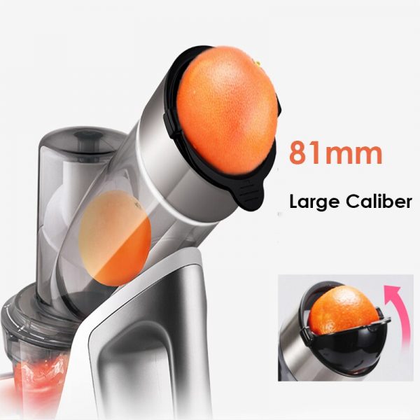 Multifunctional Fruit Vegetable Juicer Slowly Cut - Image 3