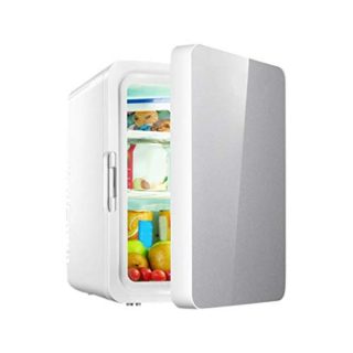 Mini Fridge,Refrigerator Compact Refrigerator 10 Liter Portable Thermoelectric Cooler And Warmer for Home, Food,Office,Car and Travel (110v-120V/12V) (Silver)