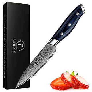 [5-Inch]Utility Paring Knife FANTECK Fruit Knife Damascus Stainless Steel VG10 Pro Razor Sharp Blade High Carbon 67-Layer Kitchen Cutlery Cutting Chef Fruit Utility Knife Gift Box-Blue G10 Handle
