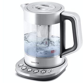 Electric Glass Kettle and Tea Maker with Temperature Controls