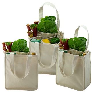 Simple Ecology Organic Cotton Deluxe Reusable Grocery Shopping Bag with Bottle Sleeves - Natural 3 Pack (heavy duty, washable, durable handles, foldable, craft & gift bag, 6 bottle wine bag carrier)