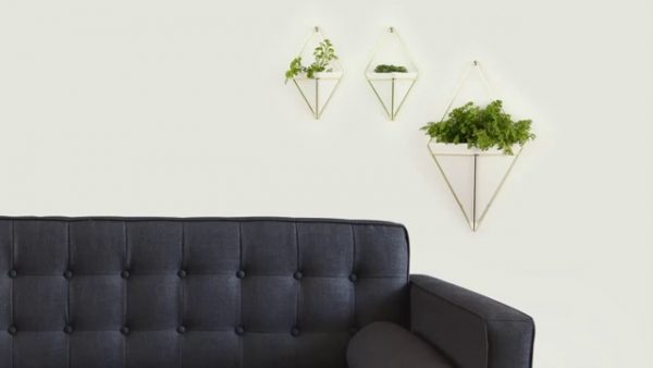 Umbra Trigg Geometric Planter, Wall and Desk Decor - Image 7