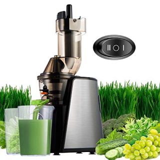 Masticating Juicer Cold Press Slow Juice Extractor Easy to Clean Extraction Creates Fruit Juice Machine, Quiet Motor and Reverse Function (Black) 150W