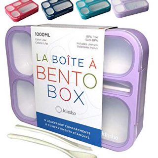 6 Compartment Leakproof School Bentobox or Portion Container Boxes