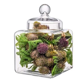 Glass Cookie and Candy Jar with Lid, Clear Glass Food Storage Containers for Kitchen Canning Cereal,Pasta,Sugar,Beans (Height: 9.5" Body: 6")