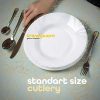 Silverware Set Limited Edition – 24 Piece Family Dinnerware Set - Image 6