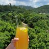 Glass Straws, Perfect For Cold/Hot Beverages Such As Smoothies - Image 2