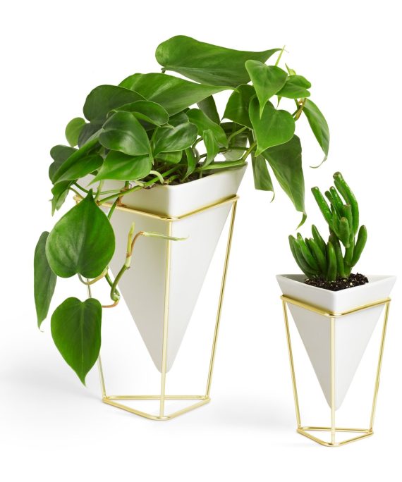 Umbra Trigg Geometric Planter, Wall and Desk Decor Ceramic Containers and Vases-for Succulents, Air, Mini Cactus, Faux Plant, White/Brass