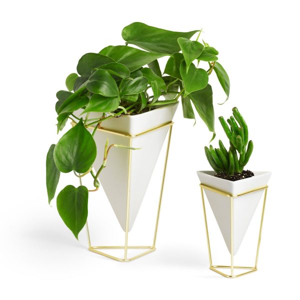 Umbra Trigg Geometric Planter, Wall and Desk Decor Ceramic Containers and Vases-for Succulents, Air, Mini Cactus, Faux Plant, White/Brass