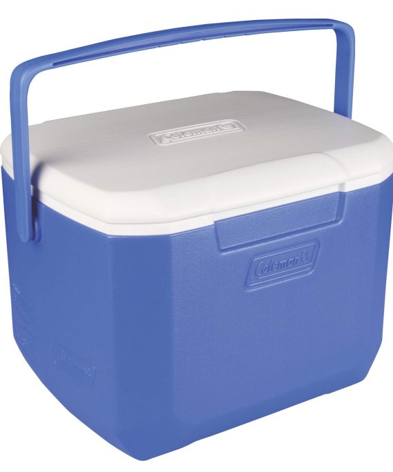 EZ-Clean Excursion Cooler Ideal for Picnics and Barbecues