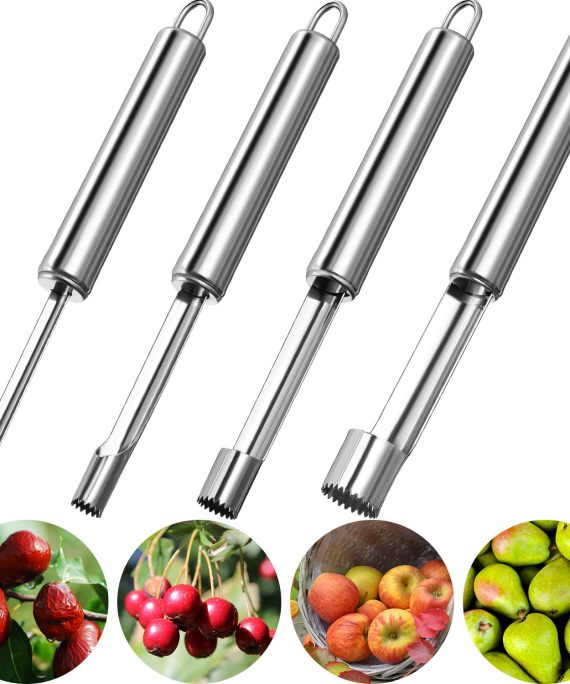 4 Pieces Corer and Pitter Multi-Function Fruit Corer and Pitter Remover Set Stainless Steel Pear Corer Pitter 4 Sizes for Home Kitchen, Pear, Cherry, Jujube and Red Date