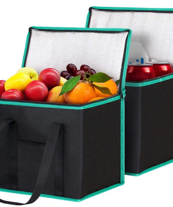 Insulated Reusable Shopping Bags Grocery Bags [2 Pack] with Handles