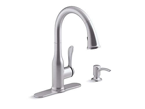 Kitchen Faucet Sprayer and Soap Dispenser