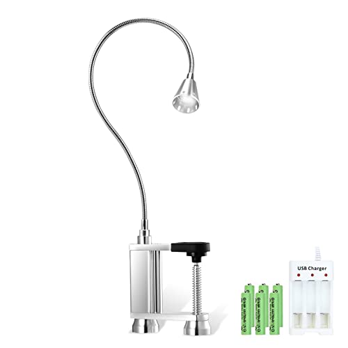 Barbecue Grill Light for Grilling and BBQ with Magnetic Base