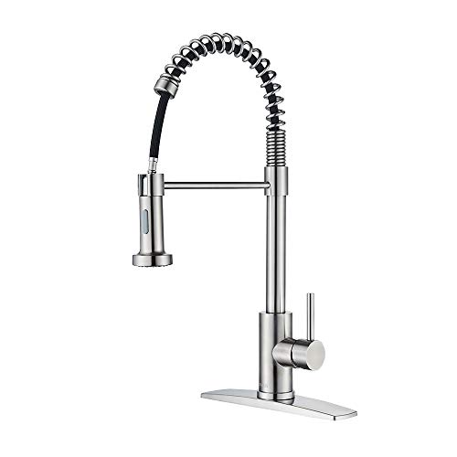 FORIOUS Kitchen Faucet with Pull Down Sprayer
