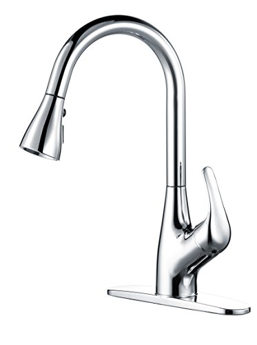 Wassern Kitchen Faucet Single Handle With Pull Down Sprayer
