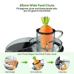 Centrifugal Juicer with 65mm Wide Feed Chute - Image 5