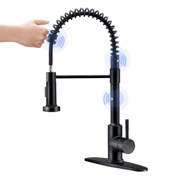 ARRISEA Matte Black Pull Down Sprayer