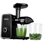 Juicer Machines,Iwodtech Slow Masticating Juicer