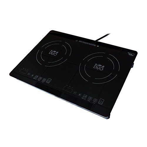 Portable Counter Inset Double Burner