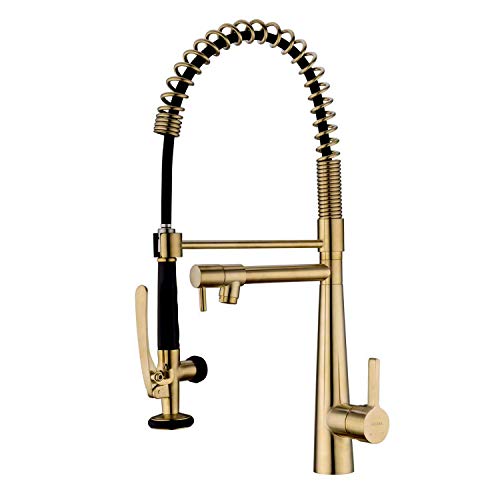 Single Handle Kitchen Faucet with Pull Down Sprayer and Pot Filler