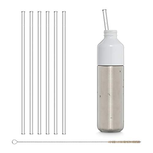 6 Long Reusable Drinking Straws + Plastic-Free Cleaning Brush