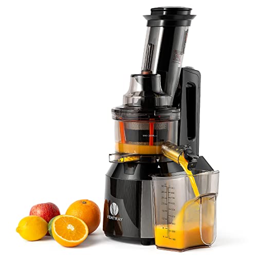 Electric Cold Press Masticating Juice Extractor Maker