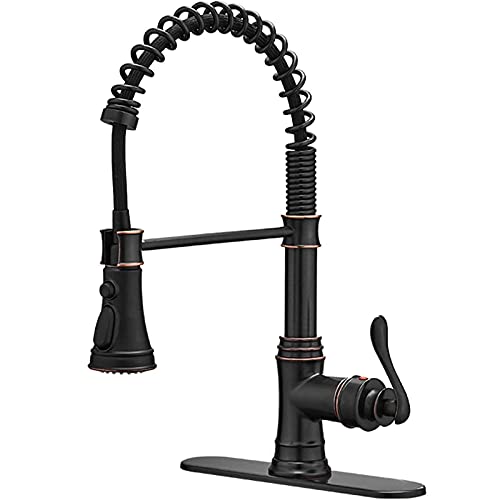 Bathfinesse Kitchen Faucet with Pull Down Sprayer
