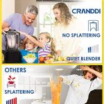 CRANDDI Quiet Shield Blender - Image 8