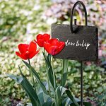 10 Pcs Slate Garden Signs Waterproof Reusable Garden Markers - Image 5
