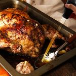 Nylon Heat-resistant Turkey Baster Cooking Set Includes Meat Baster - Image 5