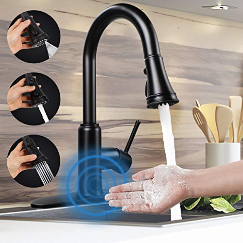 Touchless Motion Sensor Kitchen Faucet with Pull Down Sprayer