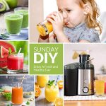 Vegetable and Fruit Centrifugal Juicer - Image 4