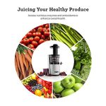 Masticating Juice Extractor Vertical - Image 4