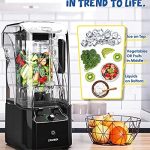 CRANDDI Quiet Shield Blender - Image 3