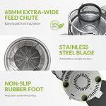 Vegetable and Fruit Centrifugal Juicer - Image 6