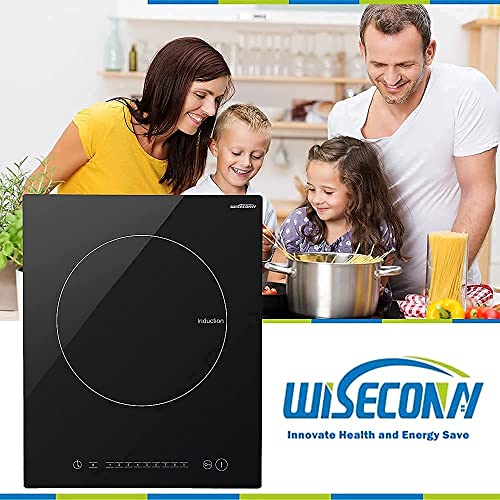 WISECONN Potable Induction Cooktop