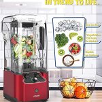 CRANDDI Quiet Shield Blender - Image 9