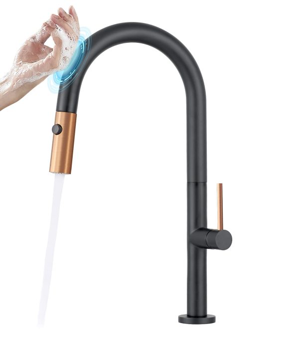 Faucet Matte Black with Pull Down Out Sprayer