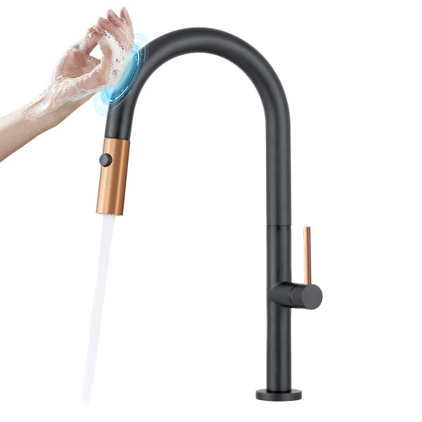 Faucet Matte Black with Pull Down Out Sprayer